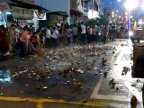 CoconutSmashing.MOV
